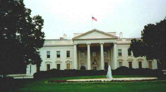 the white house, the backyard